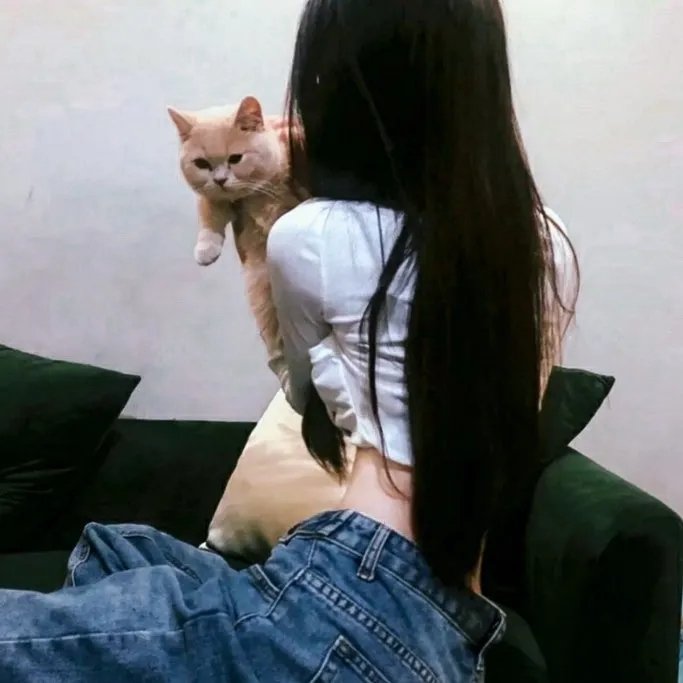 妄想学生会第一季